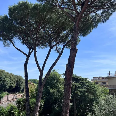Green Park San Pancrazio-3
